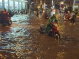 Đọc nhanh bài viết #1194669