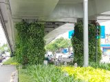 Hà Nội thử nghiệm phủ xanh trụ cầu, hầm chui, nhà chờ xe buýt