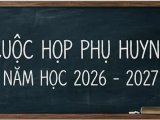 Đọc nhanh bài viết #1195095