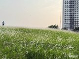 Giám đốc lương hơn 100 triệu mất việc ở tuổi 45, ngỡ ngàng trước thái độ nhà vợ
