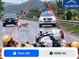 Đọc nhanh bài viết #1195202