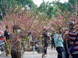Đọc nhanh bài viết #1195290