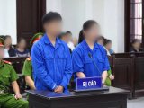 Phù phép giá đỗ bằng chất kích thích sinh trưởng cấm: Đôi nam nữ tại Quảng Ninh lĩnh án tù