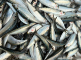 Loại cá giàu omega-3 như cá hồi, giá chỉ 40.000-50.000 đồng/kg