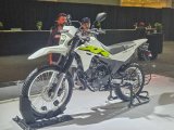 Honda ra mắt cặp mô tô địa hình mới, giá chỉ từ 49 triệu đồng