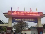 Đọc nhanh bài viết #1195979