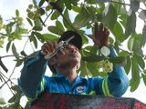 Đọc nhanh bài viết #1196049
