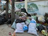 Rác chất đống, bốc mùi hôi thối ảnh hưởng cuộc sống người dân tại một xã ở Thanh Hóa