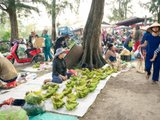 Chợ ở Thanh Hoá nằm giữa rặng phi lao xanh mát, bán đủ món ngon dân dã
