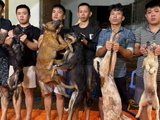TP.HCM: Từ “công xưởng” trộm chó bằng ô tô, lần ra đường dây tiêu thụ hơn 10 tấn thịt liên tỉnh