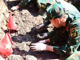 Đọc nhanh bài viết #1196629