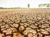 El Niño rất mạnh, Thanh Hóa nguy cơ 12.000ha cây trồng thiếu nước