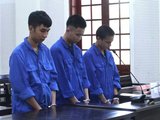 Đường dây mua bán ma túy bị triệt phá từ bí mật trong chuồng gà