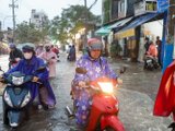 Đọc nhanh bài viết #1196941