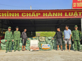 Quảng Ninh: Triệt phá vụ vận chuyển hơn 6 tấn nầm lợn, trứng gà bốc mùi qua biên giới