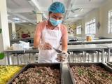Bộ GD&ĐT đề xuất phụ huynh không cản trở quy trình tổ chức bữa ăn bán trú