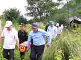 Đọc nhanh bài viết #1197609