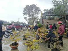 Đọc nhanh bài viết 1029228