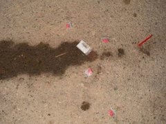 Đọc nhanh bài viết 1029246