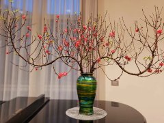 Đọc nhanh bài viết 1029287