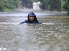 Đọc nhanh bài viết 1029342