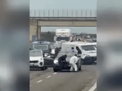 Đọc nhanh bài viết 1029365