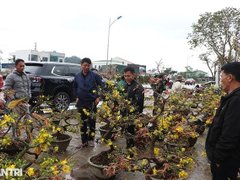 Đọc nhanh bài viết 1029368