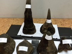 Đọc nhanh bài viết 1029505