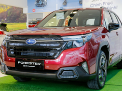 Đọc nhanh bài viết 1029522