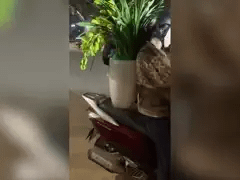 Đọc nhanh bài viết 1029544