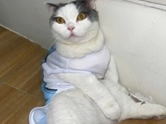 Đọc nhanh bài viết 1029603