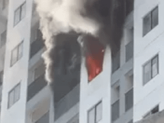 Đọc nhanh bài viết 1029618