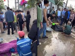 Đọc nhanh bài viết 1029647