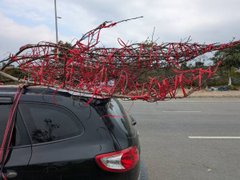 Đọc nhanh bài viết 1029698