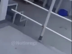 Đọc nhanh bài viết 1029724