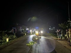 Đọc nhanh bài viết 1029726