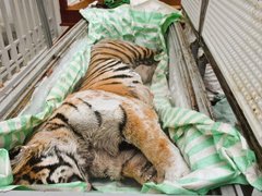 Đọc nhanh bài viết 1029771