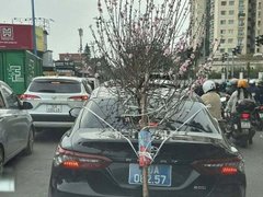 Đọc nhanh bài viết 1029778