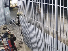 Đọc nhanh bài viết 1029825