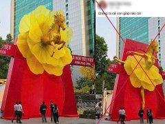 Đọc nhanh bài viết 1029842