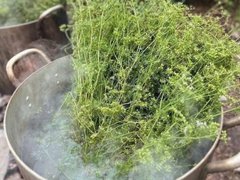 Đọc nhanh bài viết 1029854