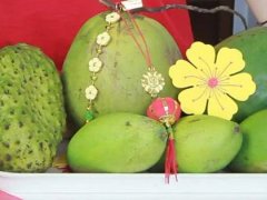 Đọc nhanh bài viết 1029857