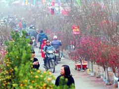 Đọc nhanh bài viết 1029887