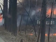 Đọc nhanh bài viết 1029920