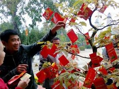 Đọc nhanh bài viết 1029996