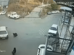 Đọc nhanh bài viết 1030051