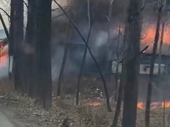 Đọc nhanh bài viết 1030065