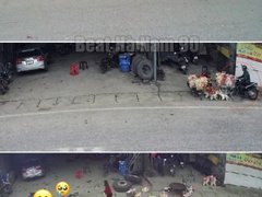 Đọc nhanh bài viết 1030116