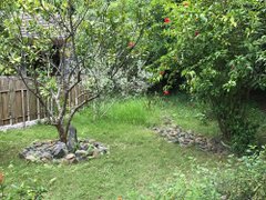 Đọc nhanh bài viết 1030155