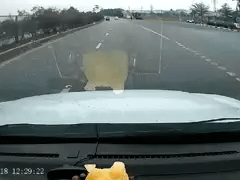 Ảnh bìa bài viết